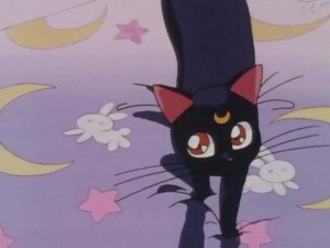SailorMoon-s1-001(283).jpg
