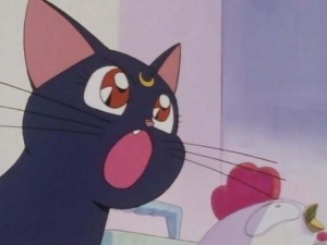 SailorMoon-s1-001(338).jpg