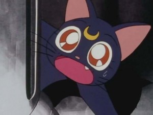 SailorMoon-s1-001(406).jpg
