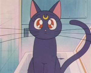 SailorMoon-s1-002(212).JPG
