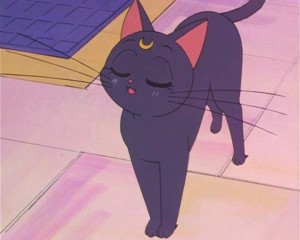 SailorMoon-s1-002(240).JPG