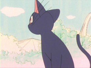 SailorMoon-s1-011(236).jpg