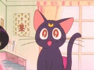 SailorMoon-s1-011(28).jpg
