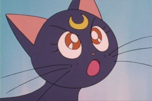 SailorMoon-s1-013(325).JPG