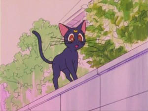 SailorMoon-s1-016(217).jpg