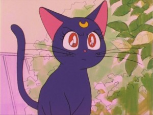SailorMoon-s1-016(246).jpg