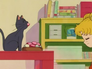 SailorMoon-s1-030(287).JPG