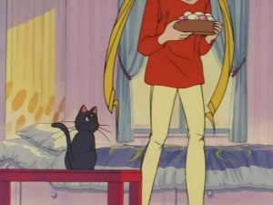 SailorMoon-s1-030(299).JPG