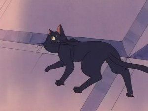 SailorMoon-s1-031(532).JPG
