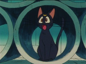 SailorMoon-s1-033(469).JPG
