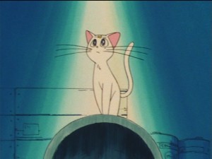 SailorMoon-s1-033(513).JPG