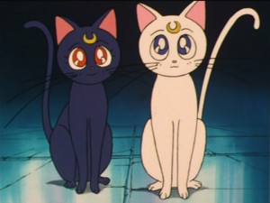 SailorMoon-s1-035(256).jpg