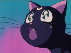 SailorMoon-s1-036(21).jpg