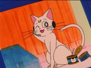 SailorMoon-s1-037(107).jpg