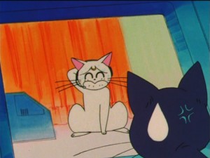 SailorMoon-s1-037(111).jpg