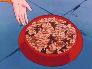 screenshot-anime-sailor-moon-s-episode-091-134.jpg
