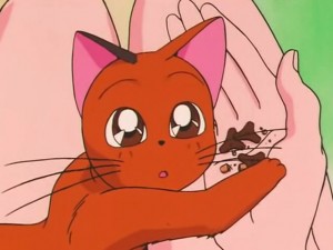 screenshot-anime-sailor-moon-s-episode-091-275.jpg