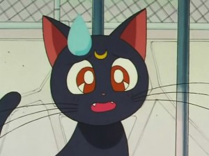 screenshot-anime-sailor-moon-s-episode-105-081.jpg