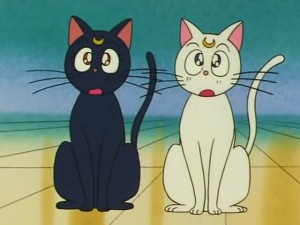 screenshot-anime-sailor-moon-s-episode-105-247.jpg