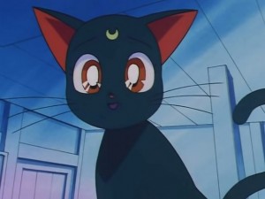 screenshot-anime-sailor-moon-sailor-stars-episode-176-454.jpg