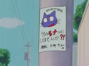 screenshot-anime-sailor-moon-sailor-stars-episode-178-001.JPG