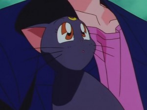screenshot-anime-sailor-moon-sailor-stars-episode-178-020.JPG