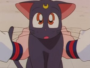 screenshot-anime-sailor-moon-sailor-stars-episode-178-131.JPG