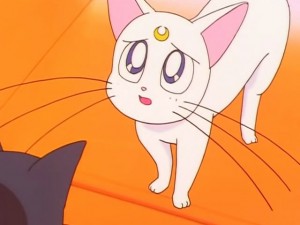 screenshot-anime-sailor-moon-sailor-stars-episode-192-062.jpg