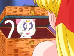 screenshot-anime-sailor-moon-sailor-stars-episode-192-261.jpg