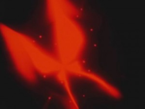screenshot-anime-sailor-moon-sailor-stars-episode-193-133.jpg