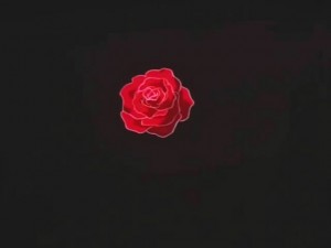 screenshot-anime-sailor-moon-super-s-episode-135-217.jpg