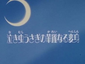 SailorMoon-s1-001(1).jpg