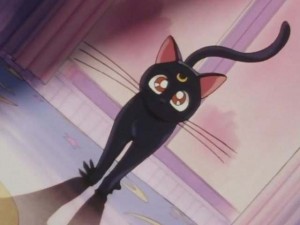 SailorMoon-s1-001(281).jpg