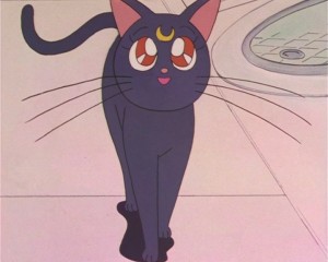 SailorMoon-s1-002(430).JPG
