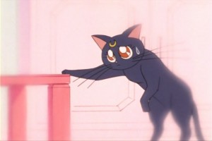 SailorMoon-s1-007(191).jpg