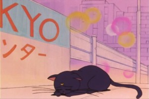 SailorMoon-s1-007(221).jpg
