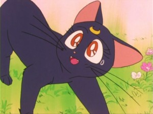SailorMoon-s1-011(327).jpg