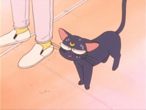 SailorMoon-s1-011(75).jpg