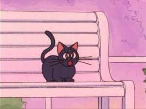 SailorMoon-s1-012(106).jpg