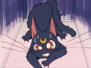SailorMoon-s1-012(206).jpg