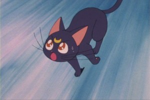 SailorMoon-s1-013(450).JPG