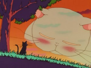 SailorMoon-s1-031(609).JPG