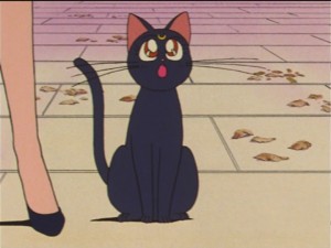SailorMoon-s1-034(145).jpg