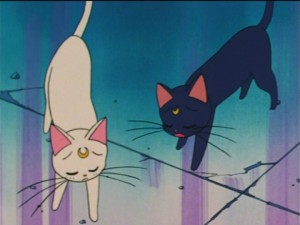SailorMoon-s1-035(200).jpg