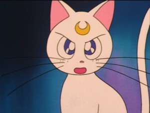 SailorMoon-s1-035(260).jpg
