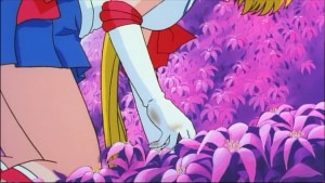 Sailormoon-R (1220).jpg