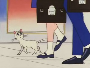 screenshot-anime-sailor-moon-s-episode-100-117.jpg