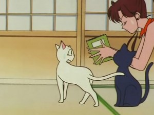 screenshot-anime-sailor-moon-s-episode-100-175.jpg