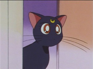 screenshot-anime-sailor-moon-sailor-stars-episode-184-068.JPG