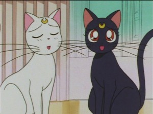screenshot-anime-sailor-moon-sailor-stars-episode-184-220.JPG
